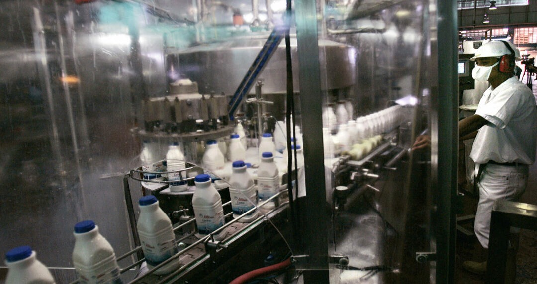 LOS SOBREVIVIENTES. Propuestas para conservación del resto del Sector Manufacturero