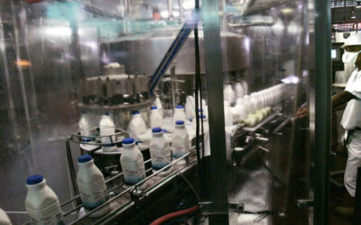 LOS SOBREVIVIENTES. Propuestas para conservación del resto del Sector Manufacturero