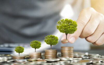 Finanzas Sostenibles: Instrumentos, Certificación y Exigencias